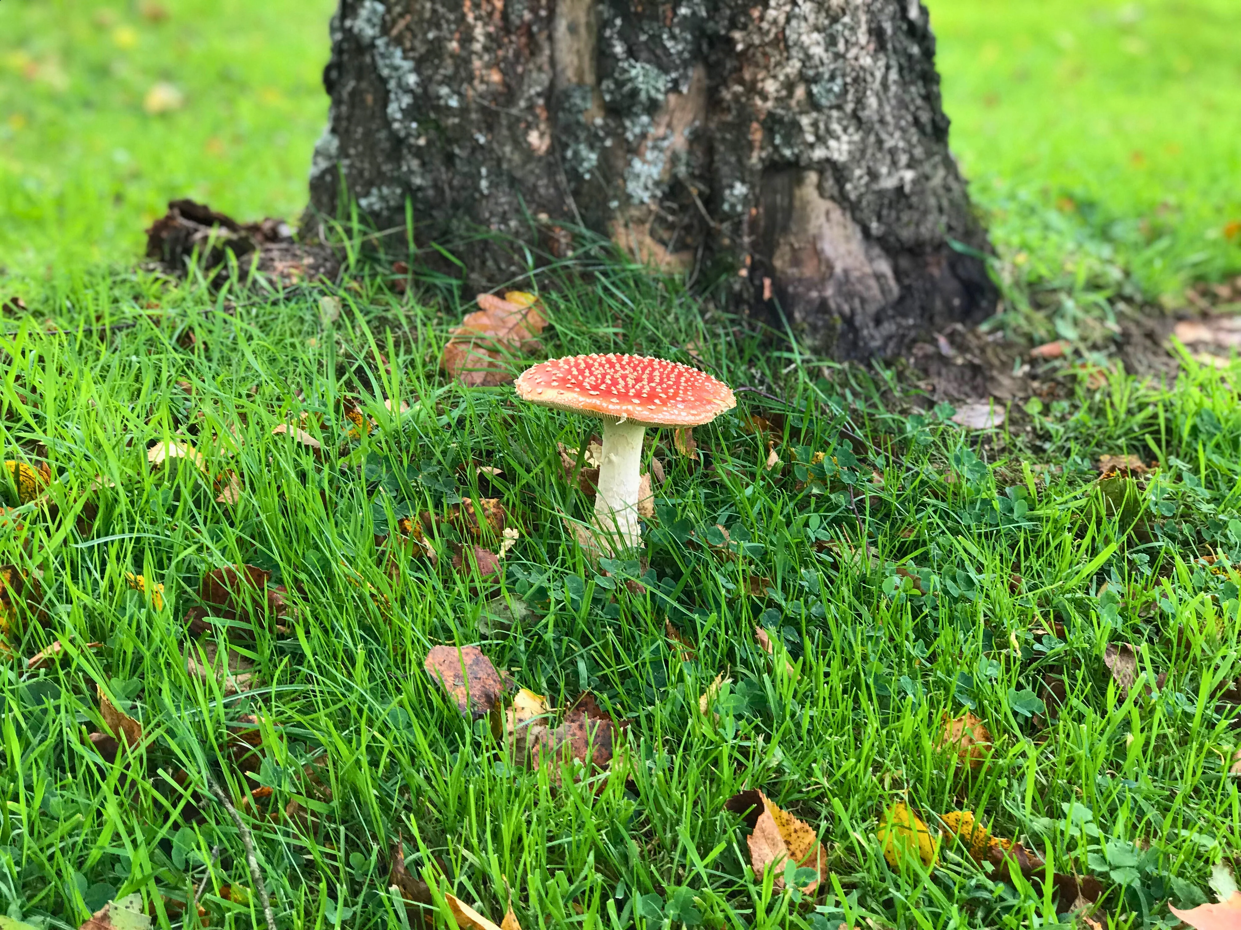 Master Your Space's Sound